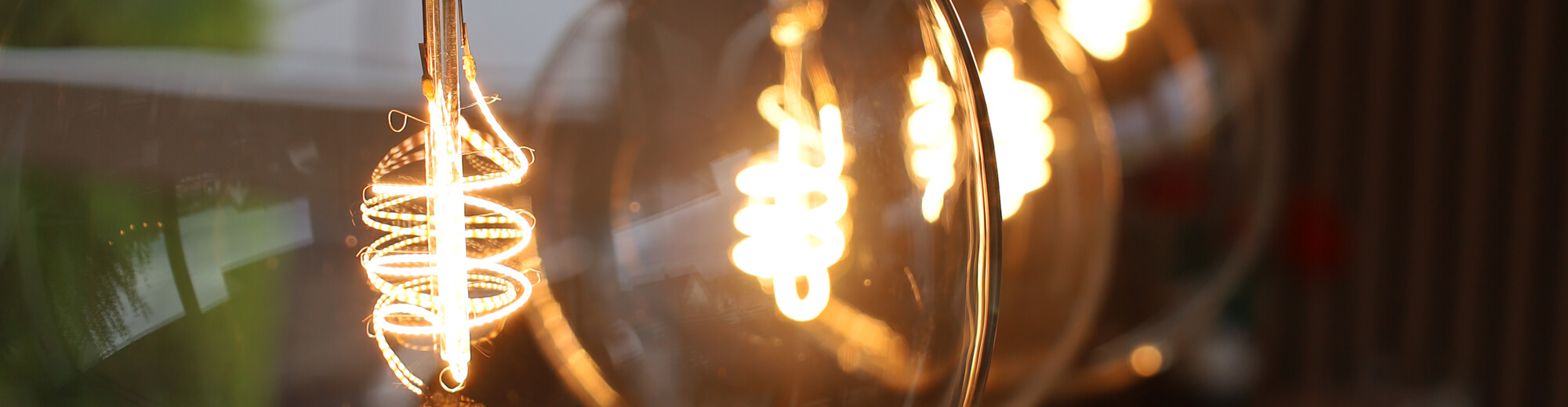 Image for the ‘Elegant Line’ category: close-up of filaments