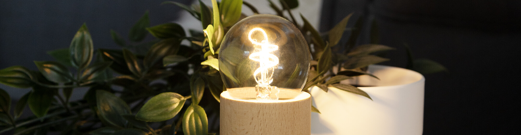Image for the category sorted by special filament, close-up of a curved filament
