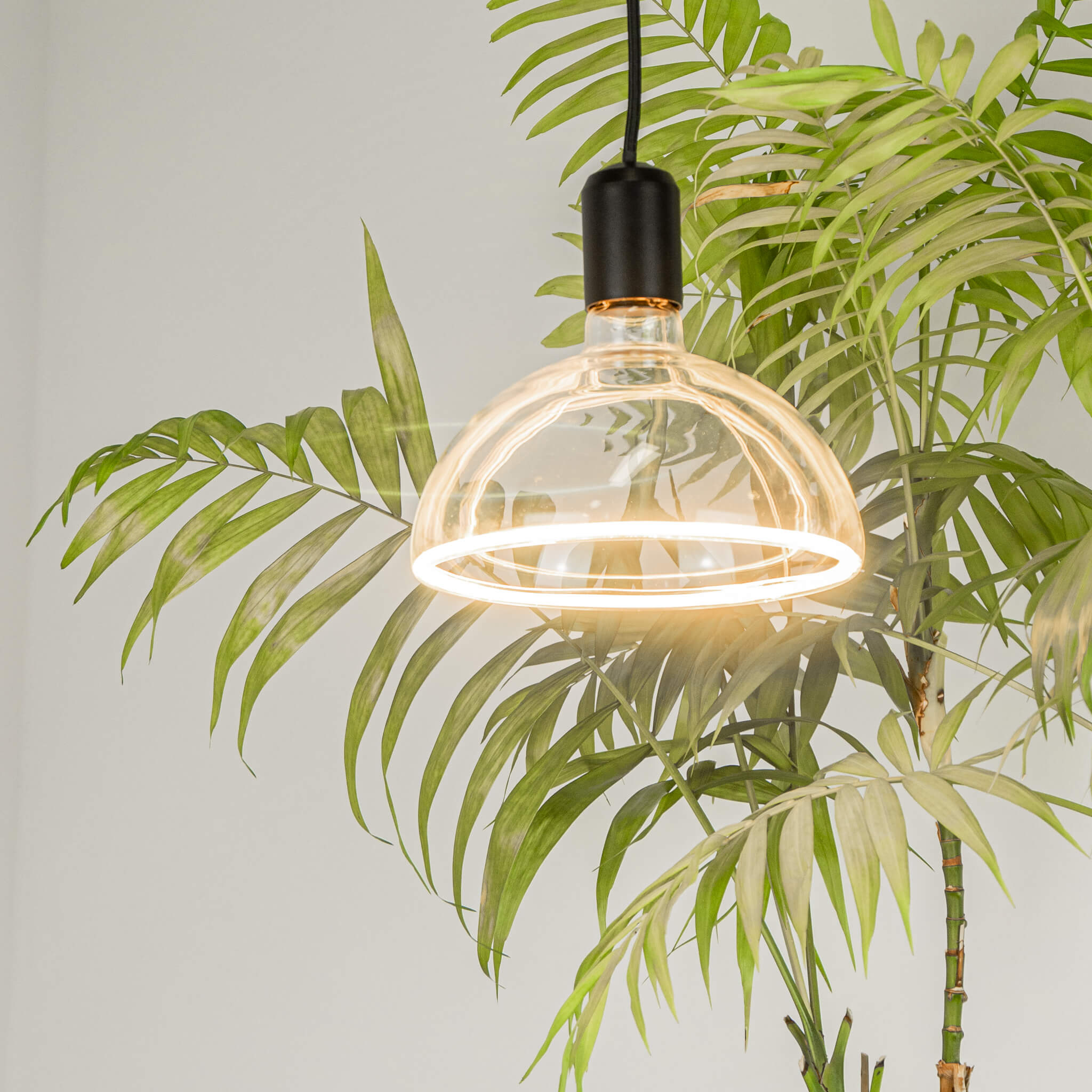 LED Floating Bowl klar Ambient Dimming 55012