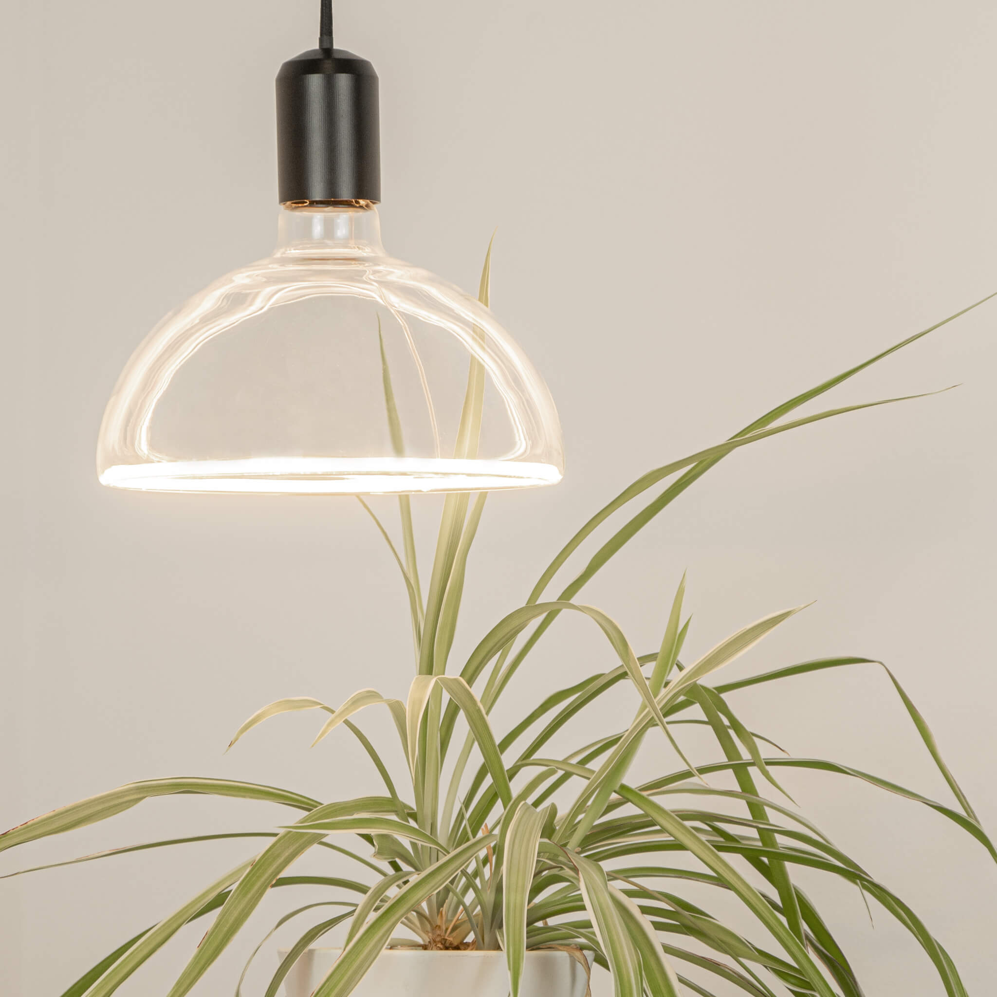 LED Floating Bowl klar Ambient Dimming 55012