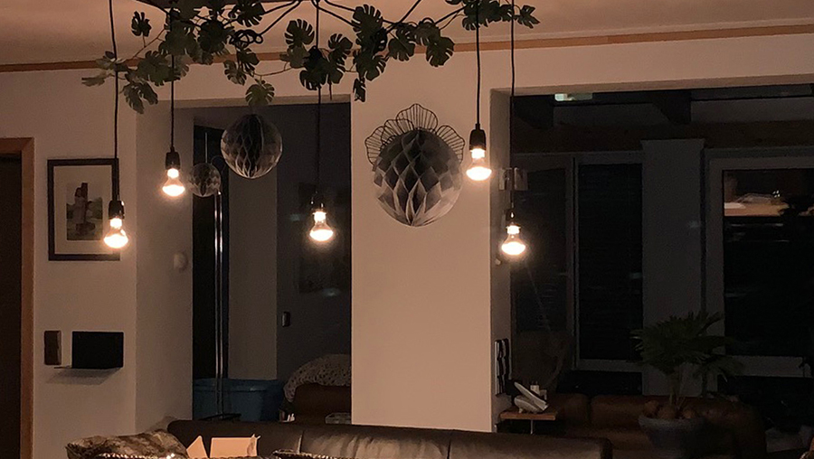 Knowledge Base | LED Myths vs. Facts | Ambient Dimming