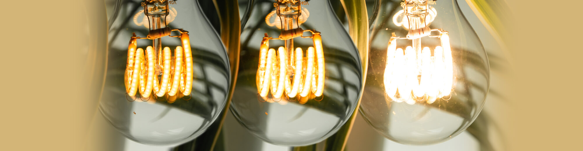 Image for the ‘Light bulbs with Ambient Dimming’ category, light bulbs with various dimming levels