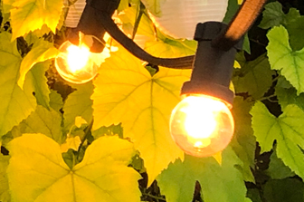 Light Sources | Outdoor Line