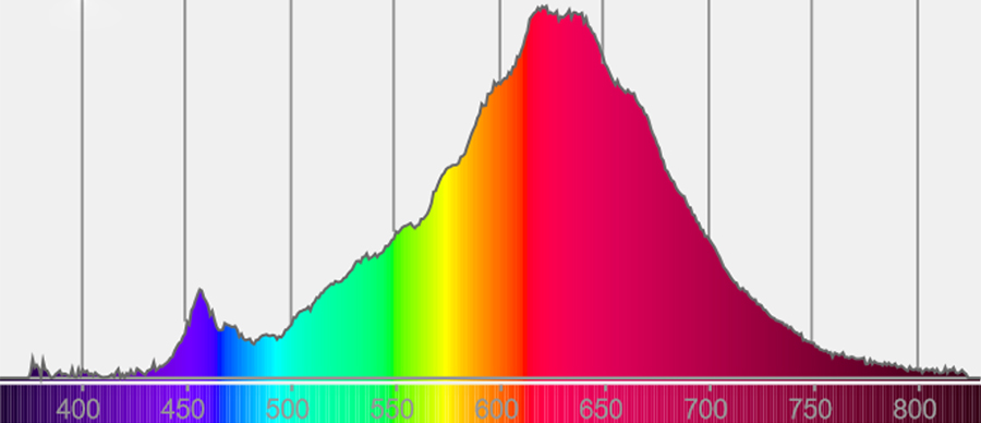 Knowledge Base | The Light Spectrum | LED Spectrum