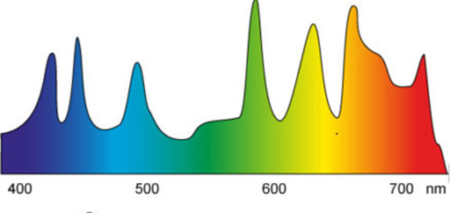 Knowledge Base | The Light Spectrum | Spectrum of Fluorescent Tubes/Energy-Saving Bulbs