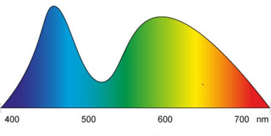 Knowledge Base | The Light Spectrum | LED Spectrum