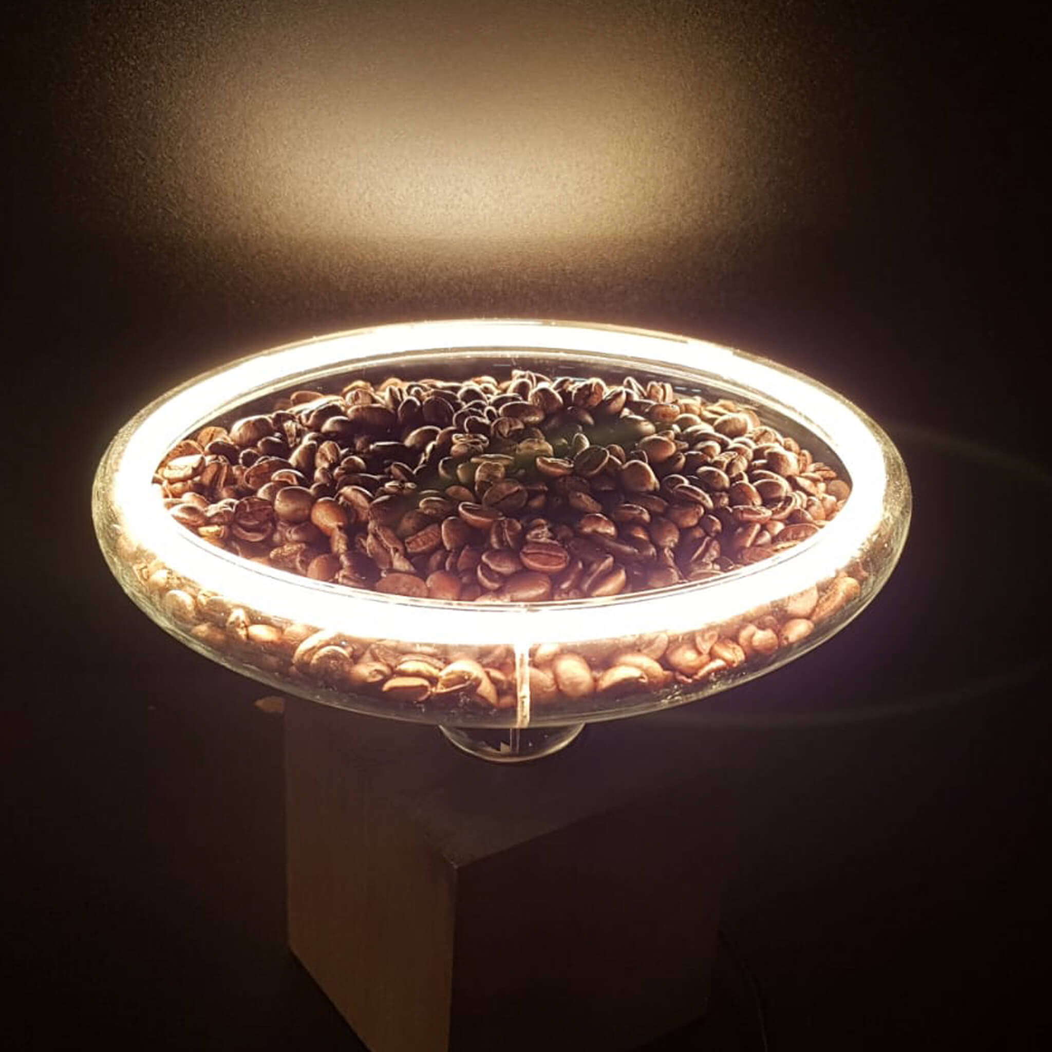 55044 LED Floating Reflektor R200 gold