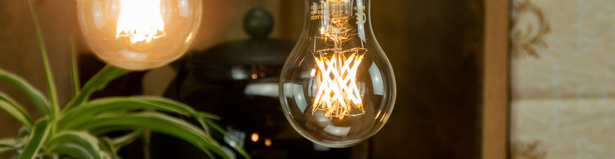 Image for the Vintage Line category: a close-up of a light bulb with a hard filament