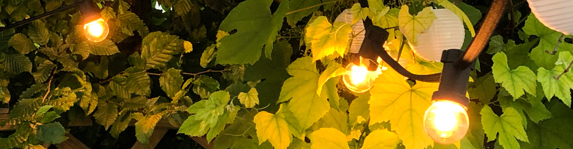 Bild für die Kategorie Outdoor Line, Leuchtmittel in Lichterkette
