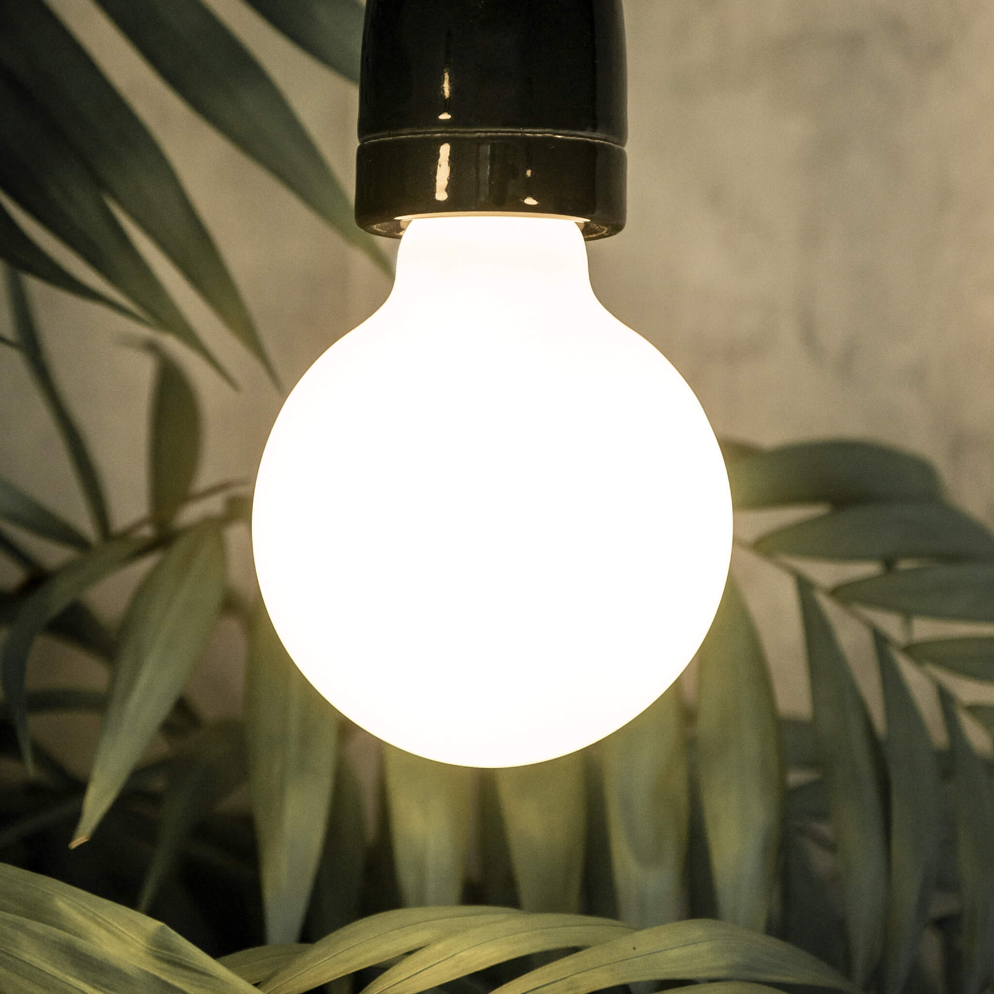 LED Globe 80 opal E27, 55682