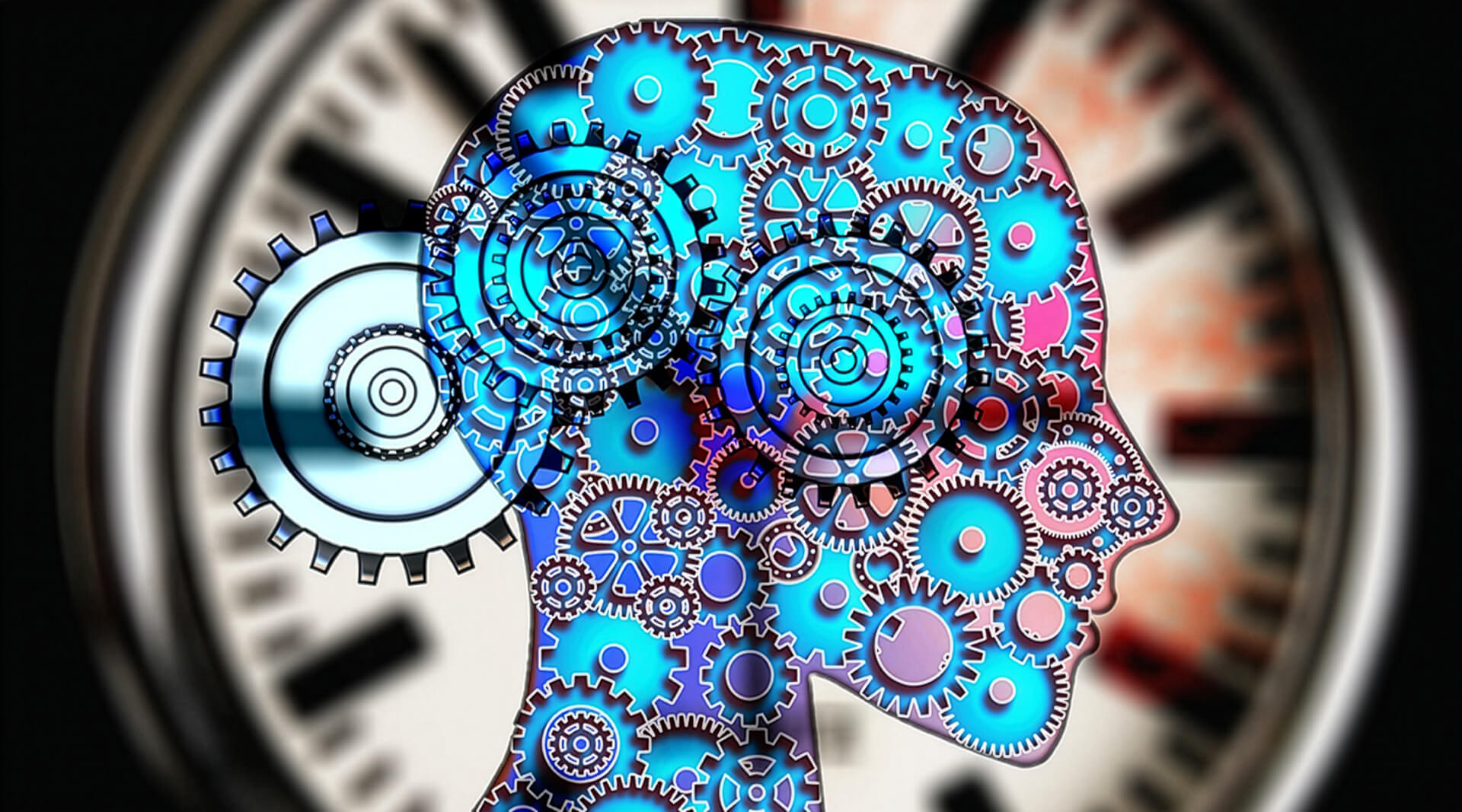 Knowledge base | The human biorhythm | The body clock